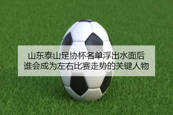 山东泰山足协杯名单浮出水面后 谁会成为左右比赛走势的关键人物
